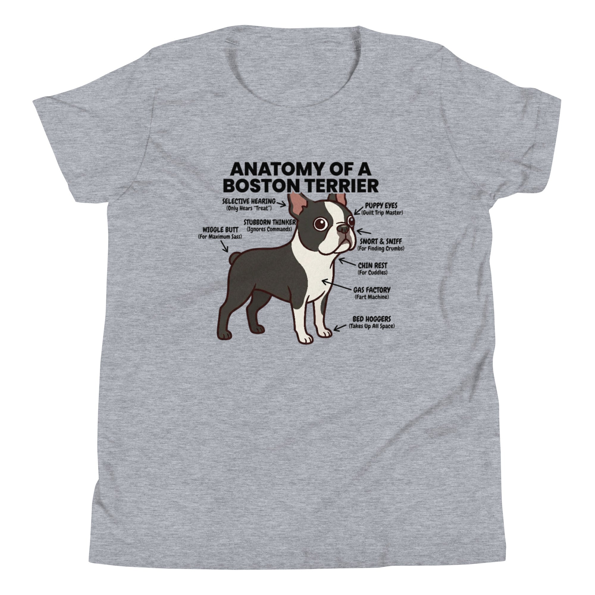 Boston Terrier Anatomy Illustrated Youth Short Sleeve T-Shirt . Athletic Heather