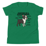 Boston Terrier Anatomy Illustrated Youth Short Sleeve T-Shirt . Kelly