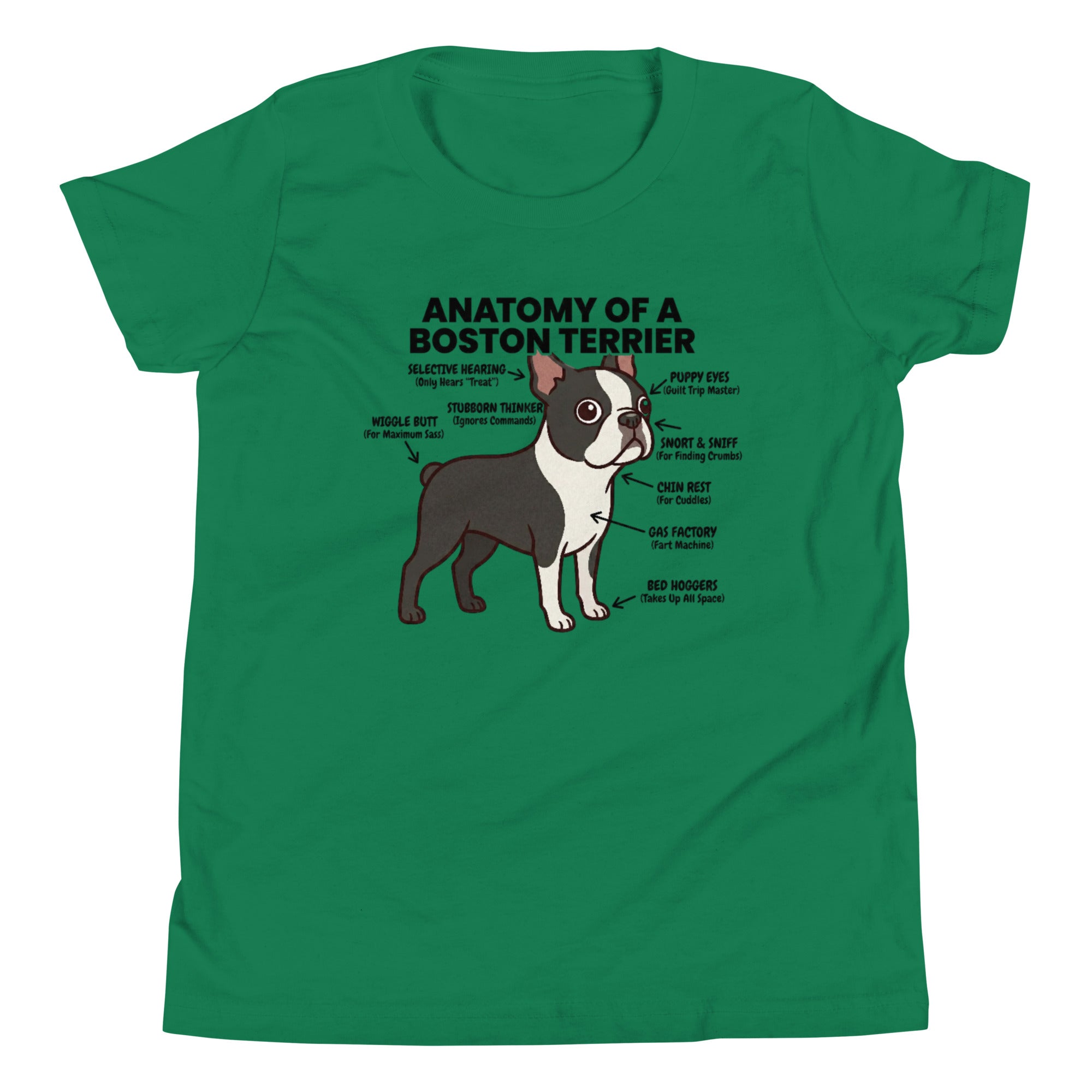Boston Terrier Anatomy Illustrated Youth Short Sleeve T-Shirt . Kelly