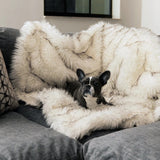 Warm Plush Dog Blanket
