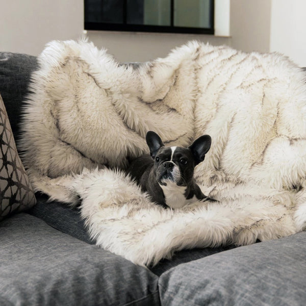 Warm Plush Dog Blanket
