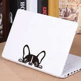 Peeking Boston Terrier Car Decal sticker