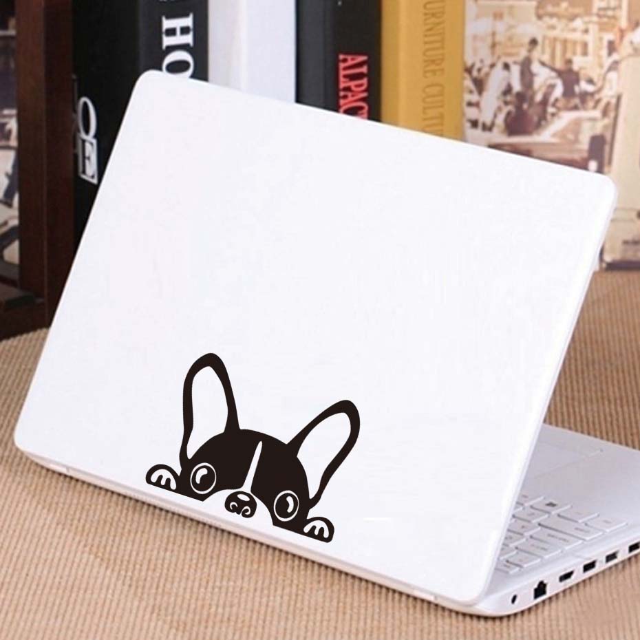 Peeking Boston Terrier Car Decal sticker