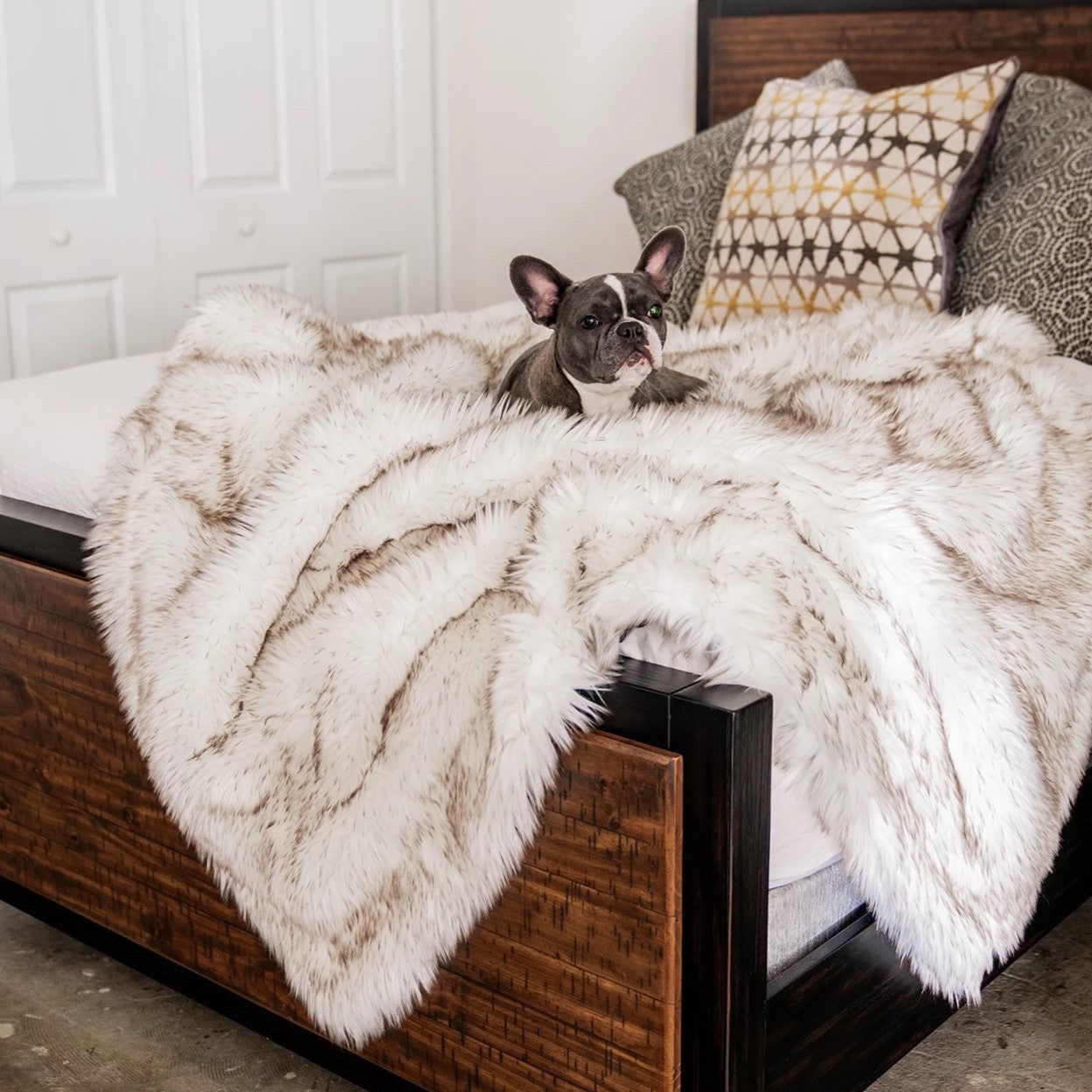 Warm Plush Dog Blanket