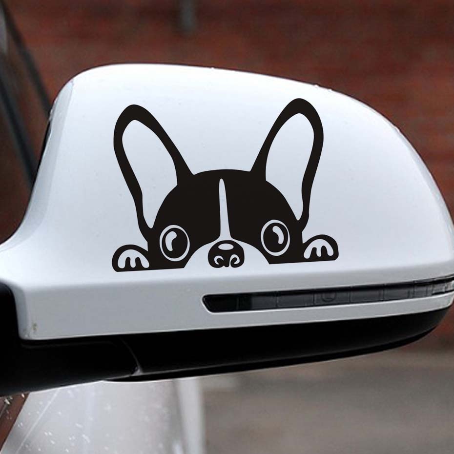 Peeking Boston Terrier Car Decal sticker