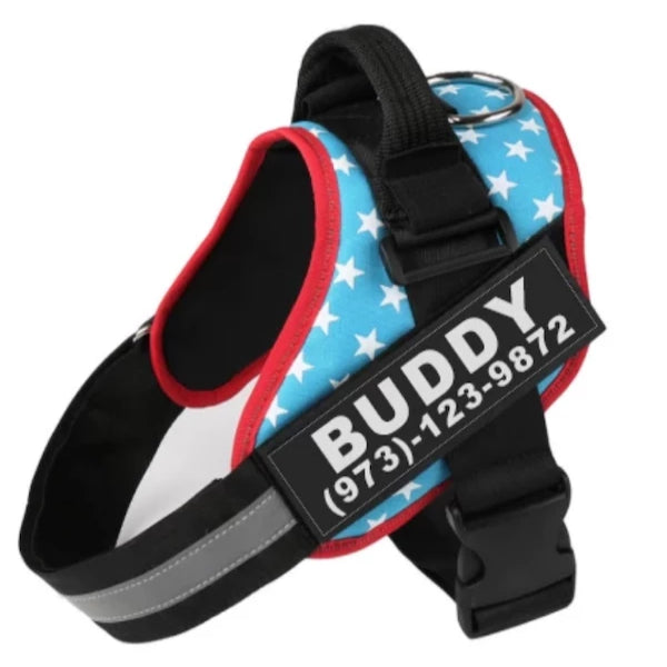 Personalized Custom Dog Harness