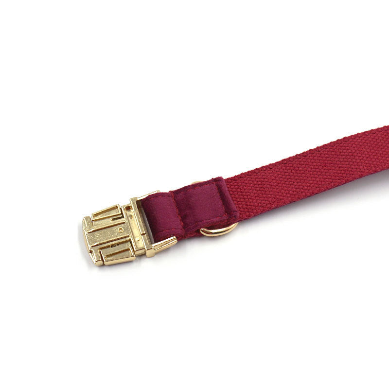 Soft Burgundy Velvet Dog Collar Bow Tie Leash