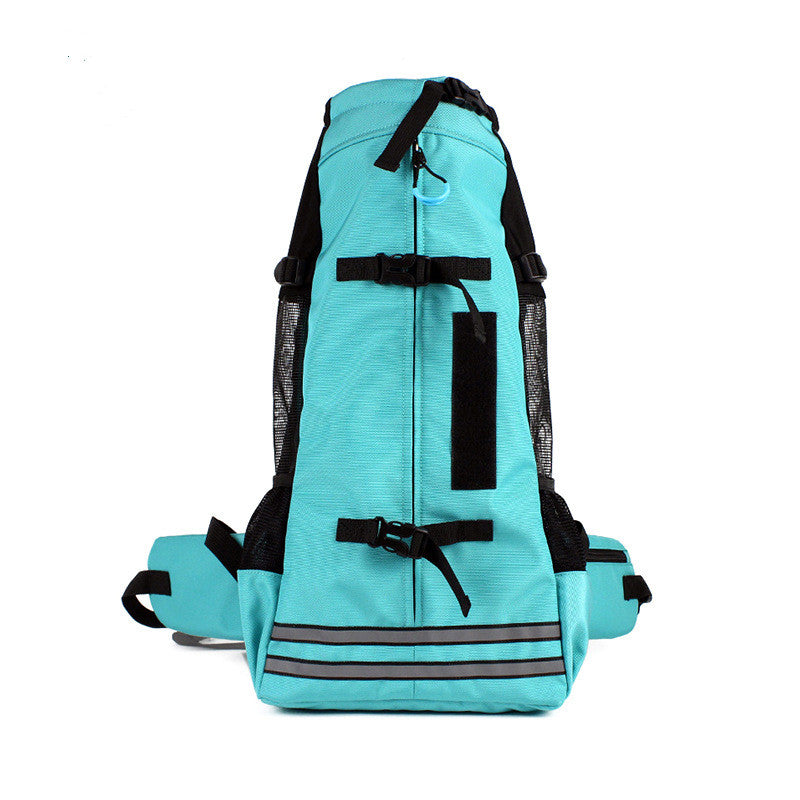 Dog Carrying Backpack V2