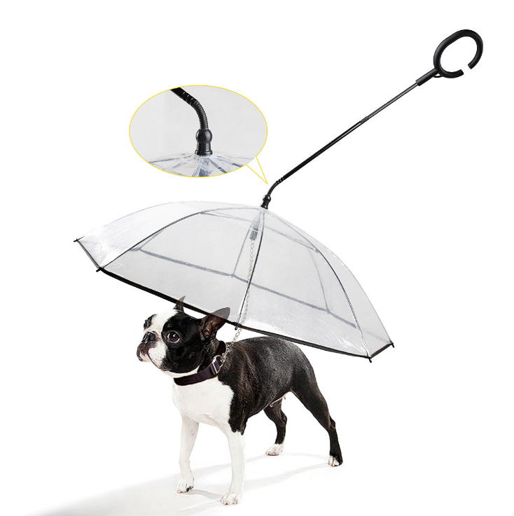 Dog walking 2025 rain gear