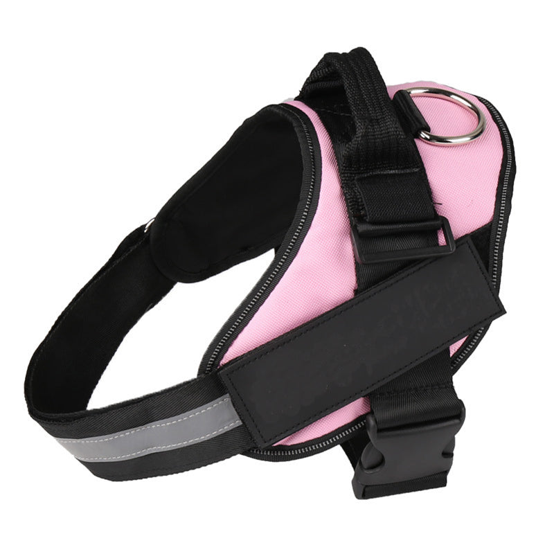 Personalised fashion harness