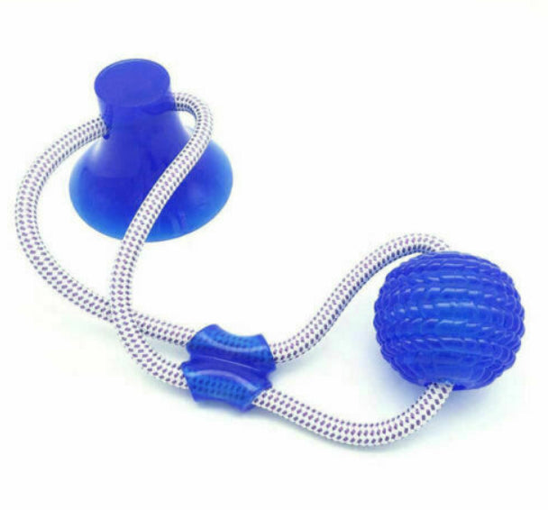 Suction Tug Dog Toy