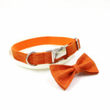 Orange Dog Collar Bow Tie Leash Set
