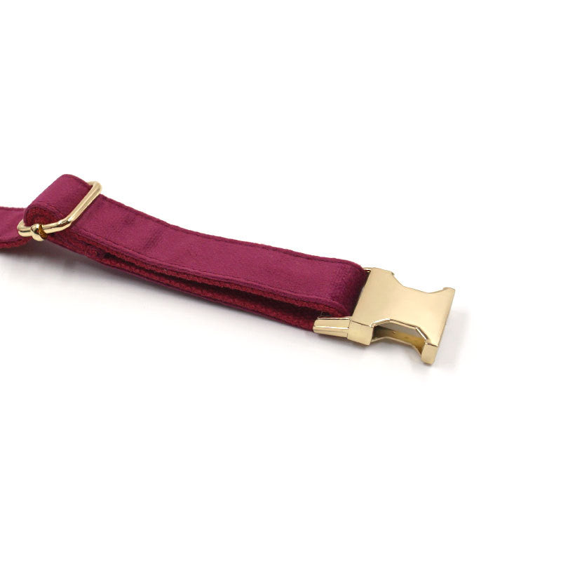 Soft Burgundy Velvet Dog Collar Bow Tie Leash