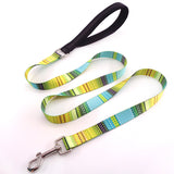 Colorful and Floral Dog Leash