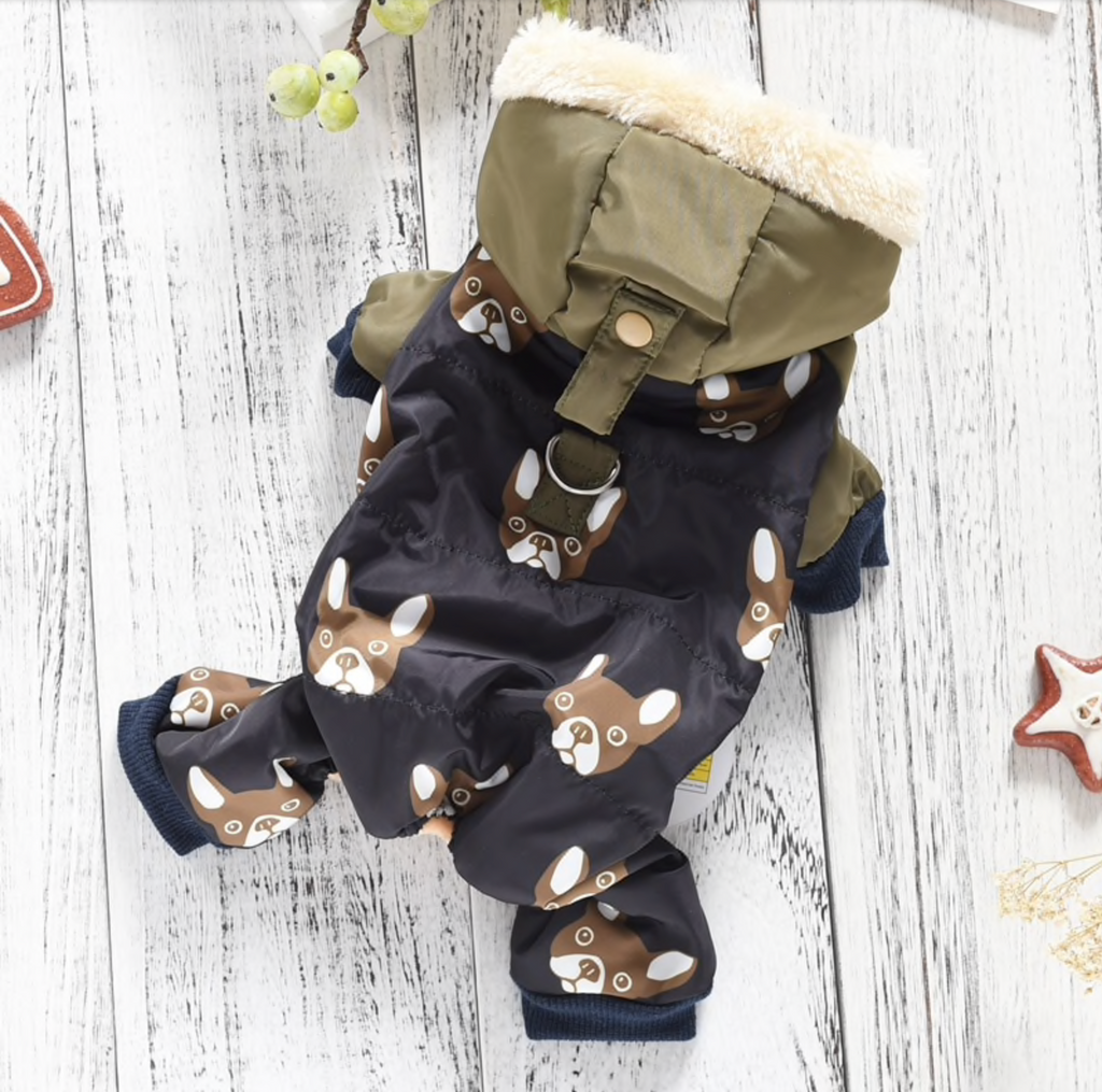 Warm Snowsuit For Dogs - Boston Terrier World