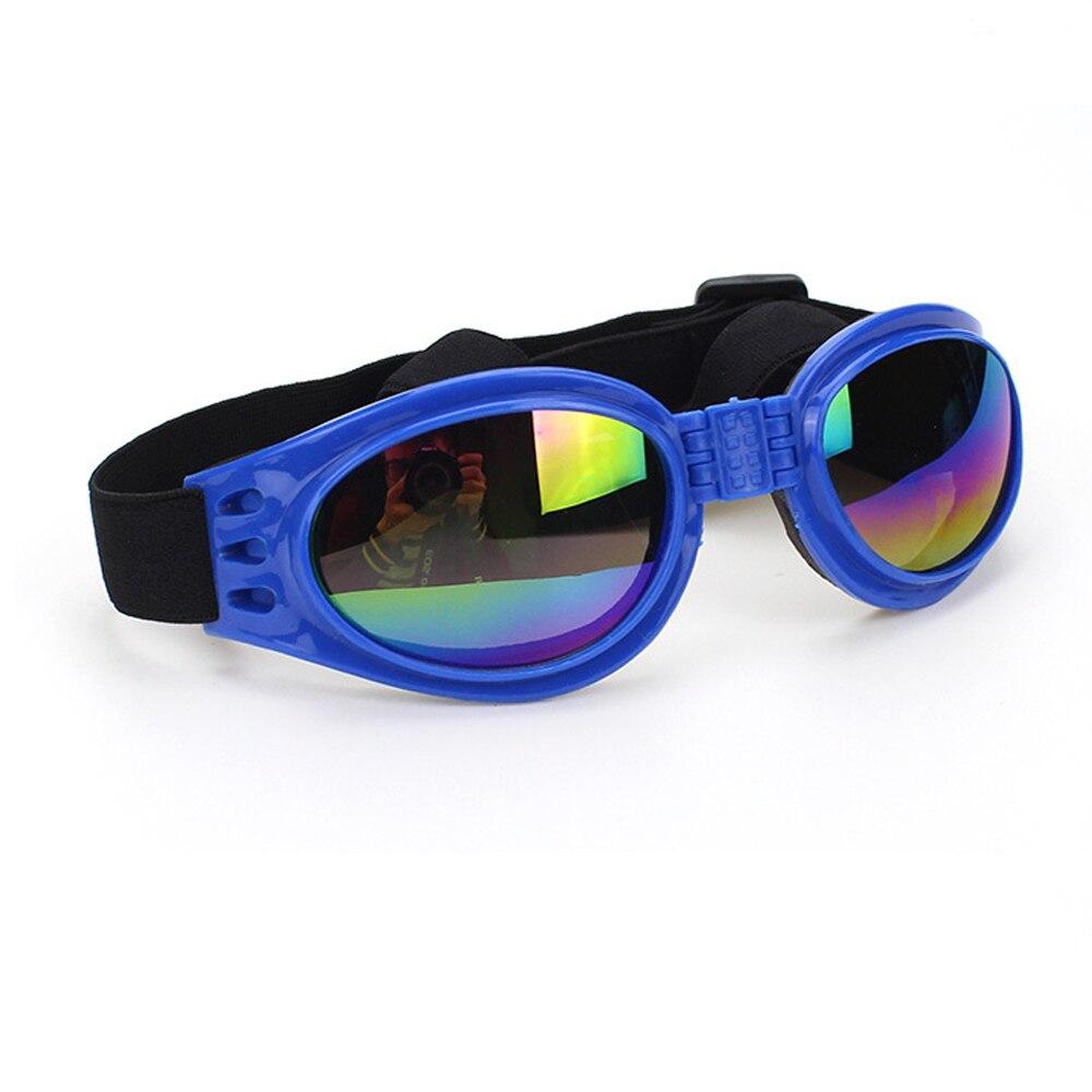 Adjustable Blue Goggles For Dogs - Boston Terrier World