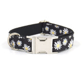 Daisy Dog Collar Bow Tie Leash Set