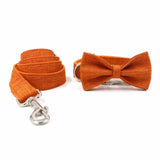Orange Dog Collar Bow Tie Leash Set