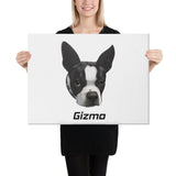 Custom Canvas Boston Terrier Dog Portraits
