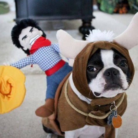 Cowboy Rider Dog Costume
