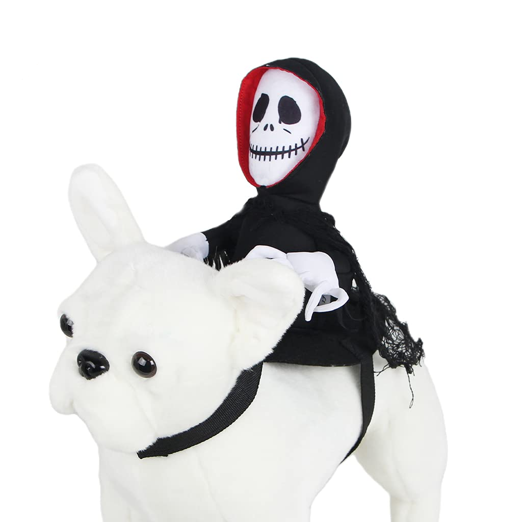 Ghost Rider Boston Terrier Halloween Costume