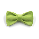 Matcha Green Velvet Dog Collar Bow Tie Leash Set