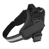 Personalized Custom Dog Harness
