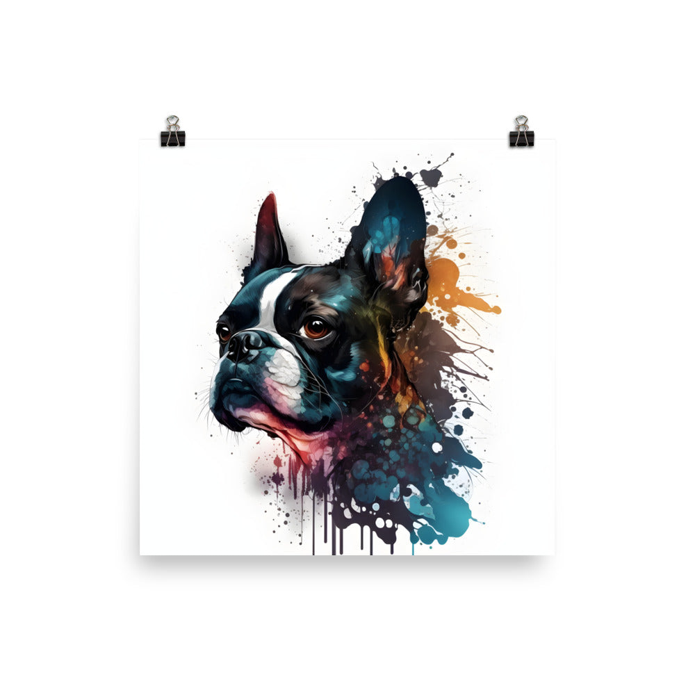 Boston Terrier Art on Poster