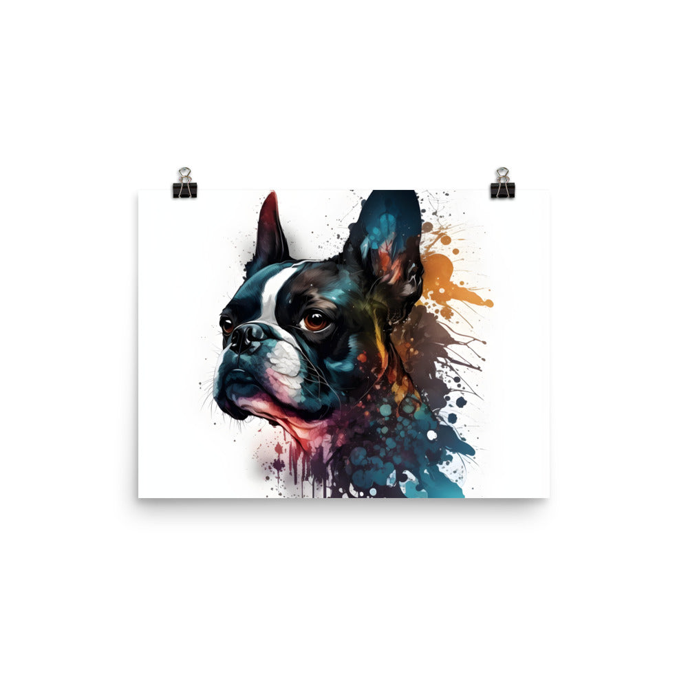 Boston Terrier Art on Poster