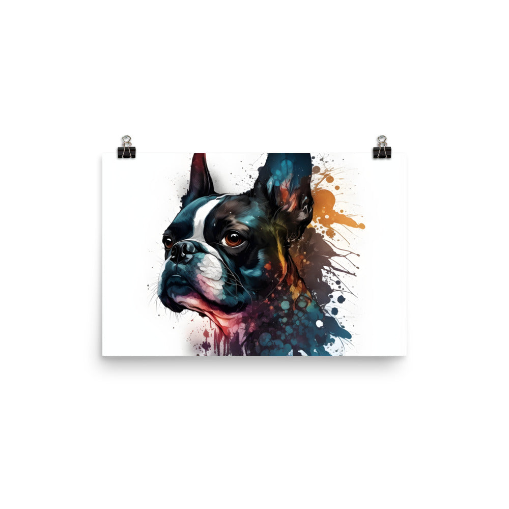 Boston Terrier Art on Poster