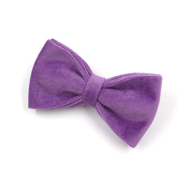 Purple Velvet Dog Collar Bow Tie Leash Set