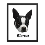 Custom Framed Boston Terrier Dog Portraits .
