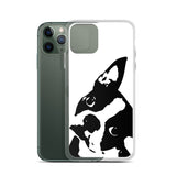 Boston Terrier Head Tilt iPhone Case