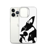 Boston Terrier Head Tilt iPhone Case
