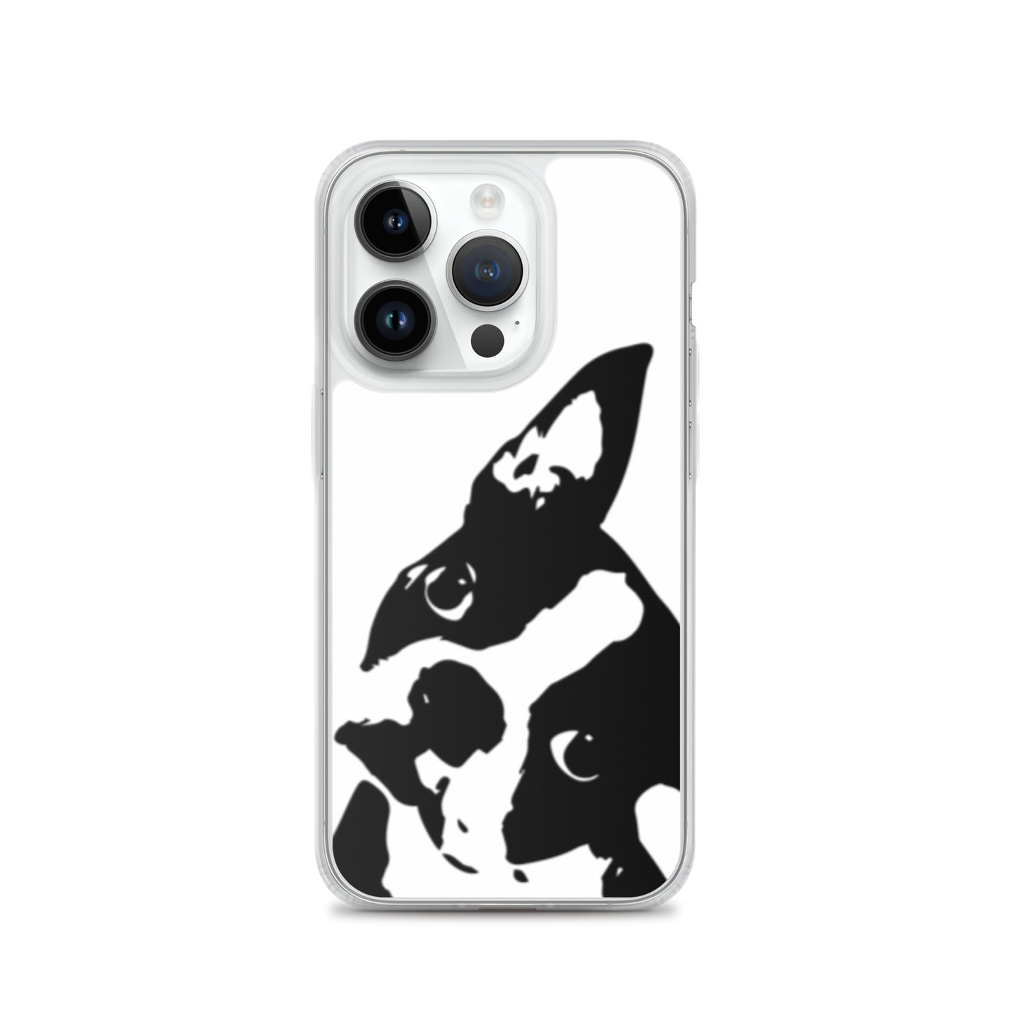 Boston Terrier Head Tilt iPhone Case