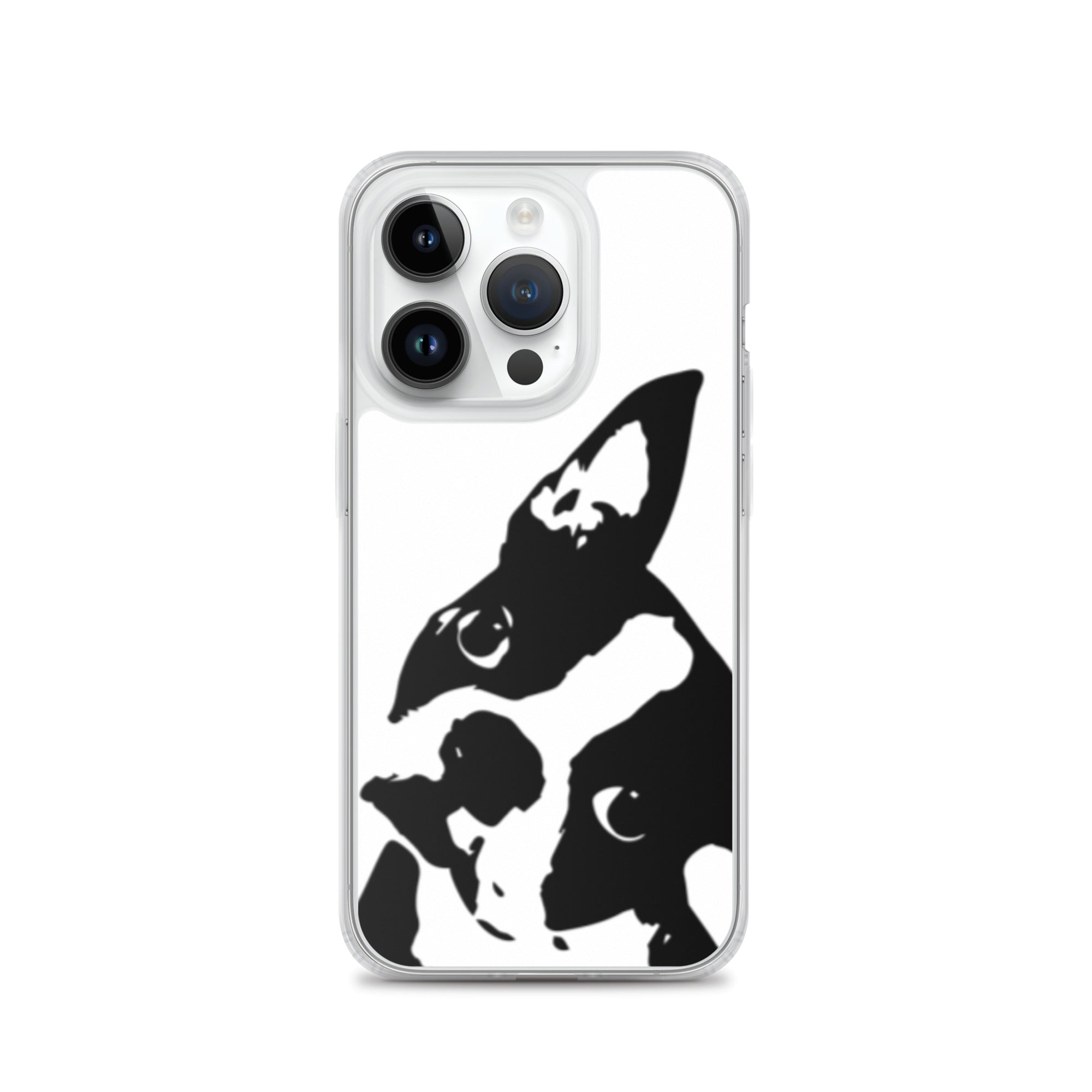 Boston Terrier Head Tilt iPhone Case