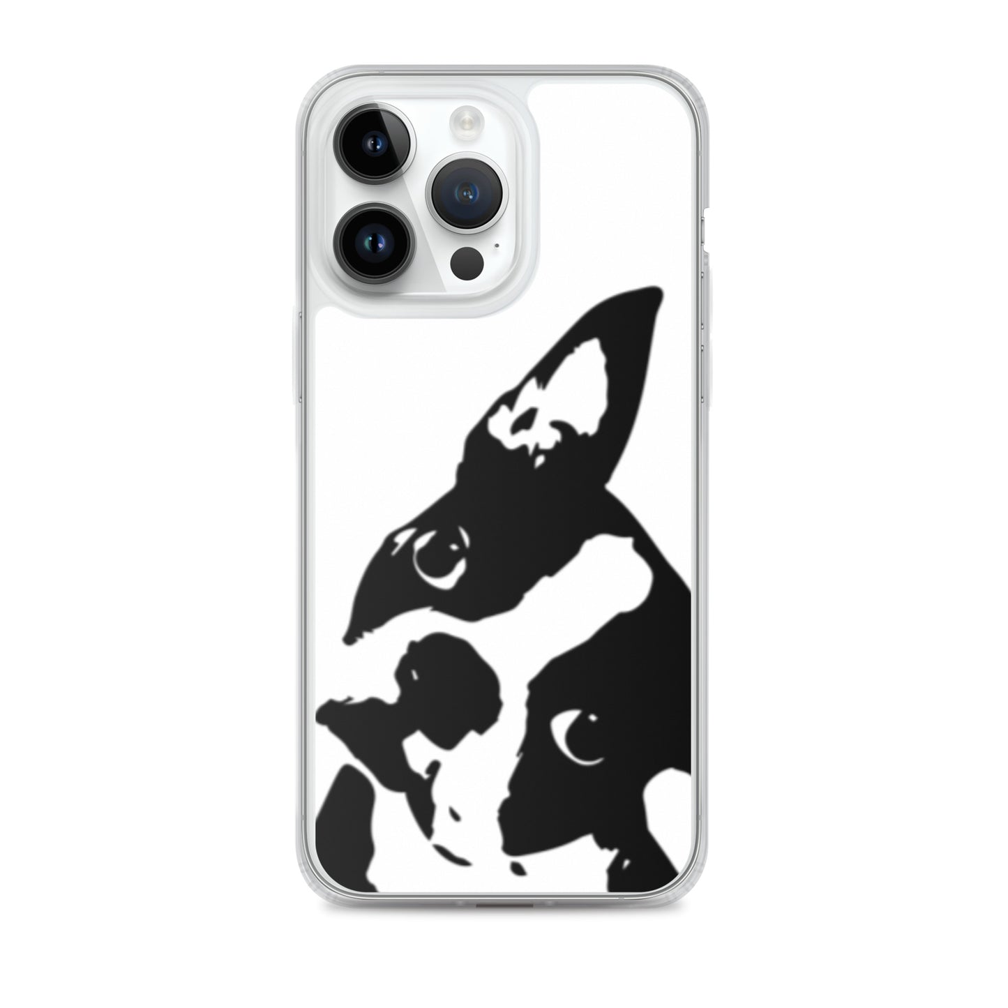 Boston Terrier Head Tilt iPhone Case
