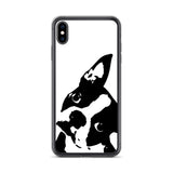 Boston Terrier Head Tilt iPhone Case