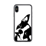 Boston Terrier Head Tilt iPhone Case