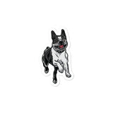 Happy Boston Terrier Sticker