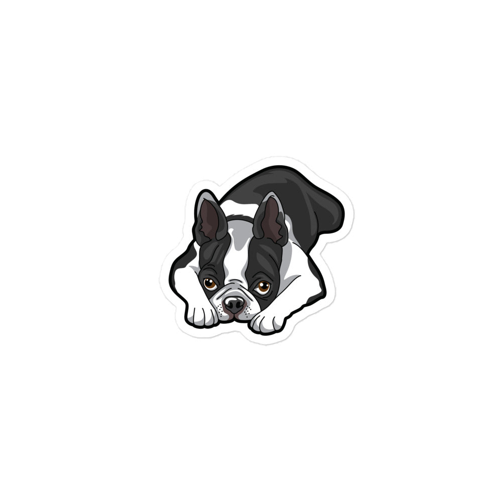 Boston Terrier Laying Down Sticker