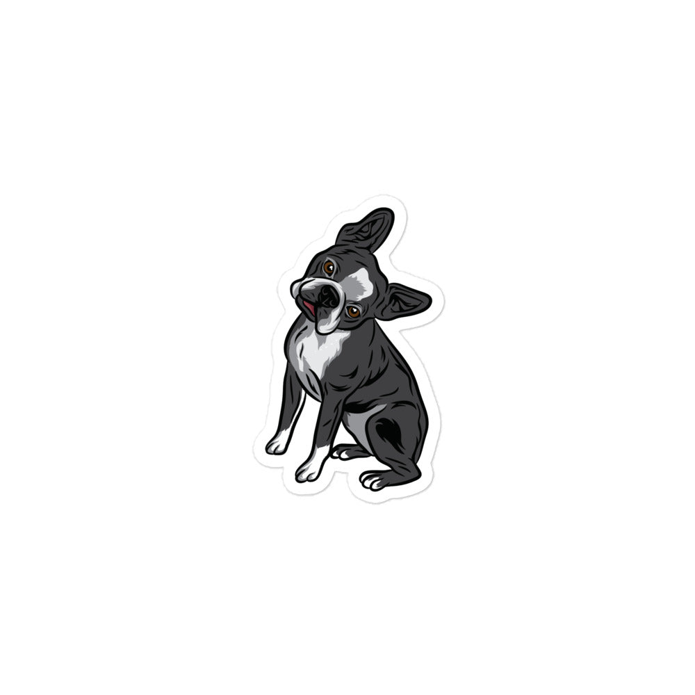 Boston Terrier Head Tilt Sticker