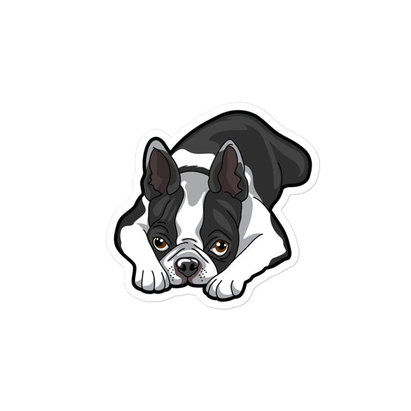 Boston Terrier Laying Down Sticker