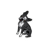 Boston Terrier Head Tilt Sticker