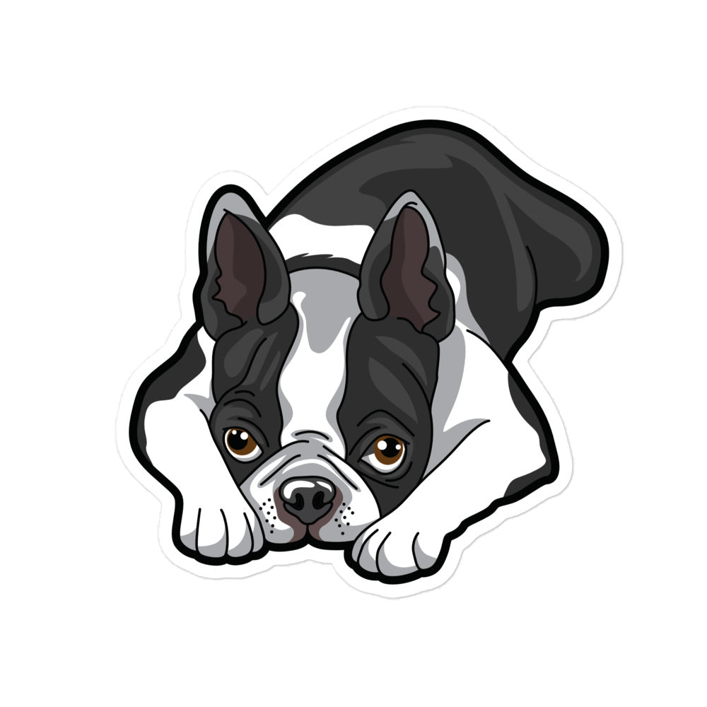 Boston Terrier Laying Down Sticker