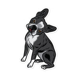 Boston Terrier Head Tilt Sticker