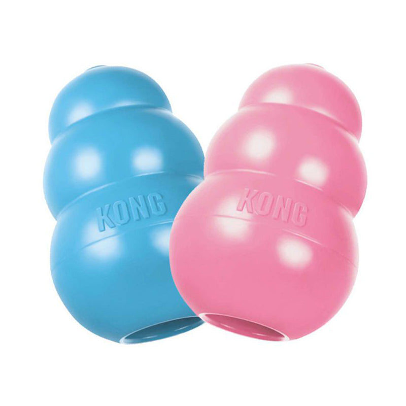 Kong Puppy Toy - Boston Terrier World
