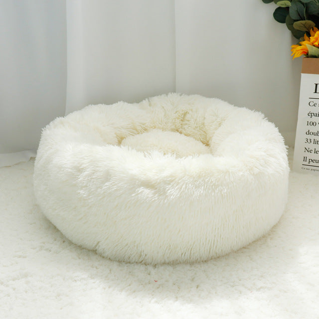 Super Soft Orthopedic Dog Bed - Boston Terrier World