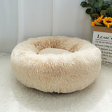 Super Soft Orthopedic Dog Bed - Boston Terrier World