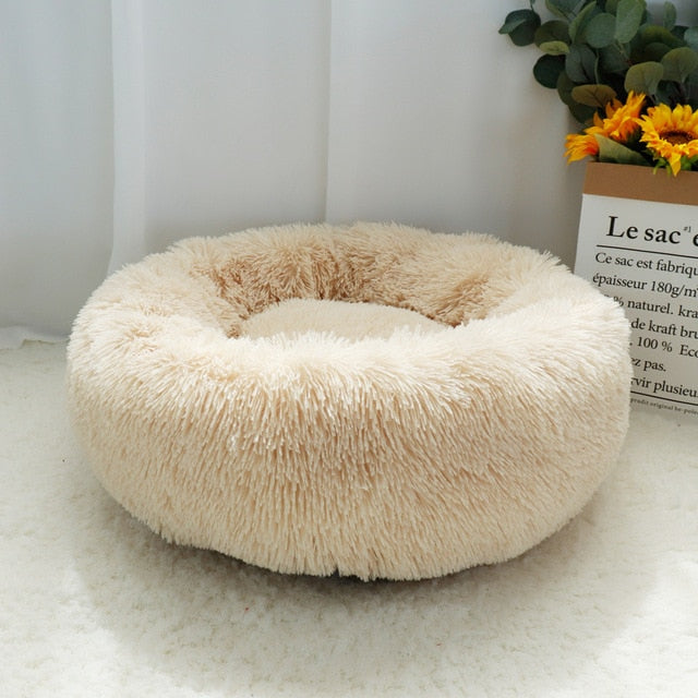 Super Soft Orthopedic Dog Bed - Boston Terrier World